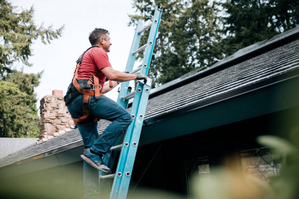 Reliable Fort Calhoun, NE Roofing service Solutions